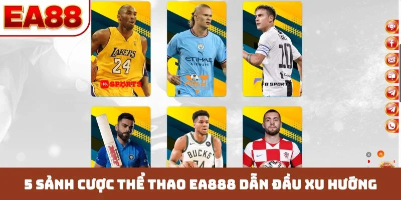 5 sảnh cược thể thao EA888 dẫn đầu xu hướng