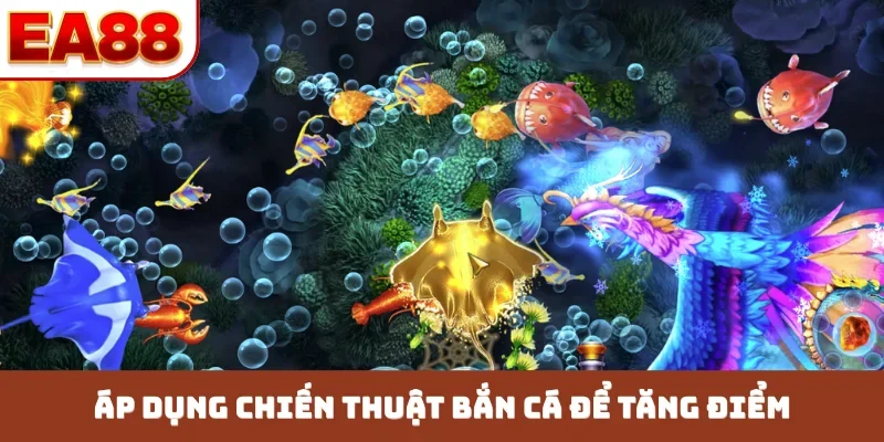 Áp dụng chiến thuật bắn cá để tăng điểm