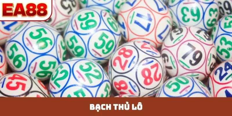 bạch thủ lô