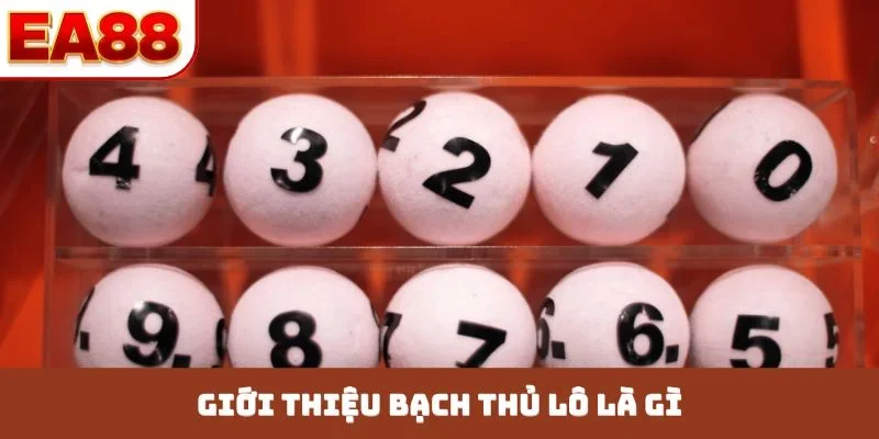 Giới thiệu bạch thủ lô là gì